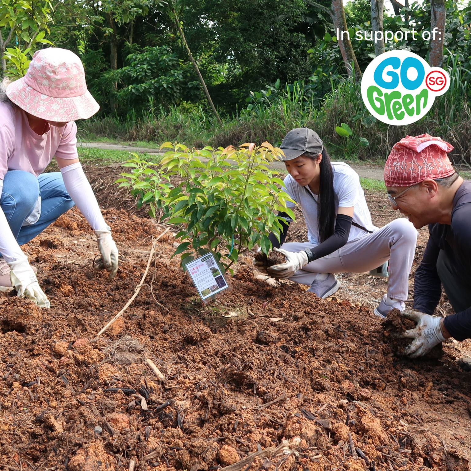[Go Green SG] NSS Rewilding Project: Tree Planting along Rail Corridor ...